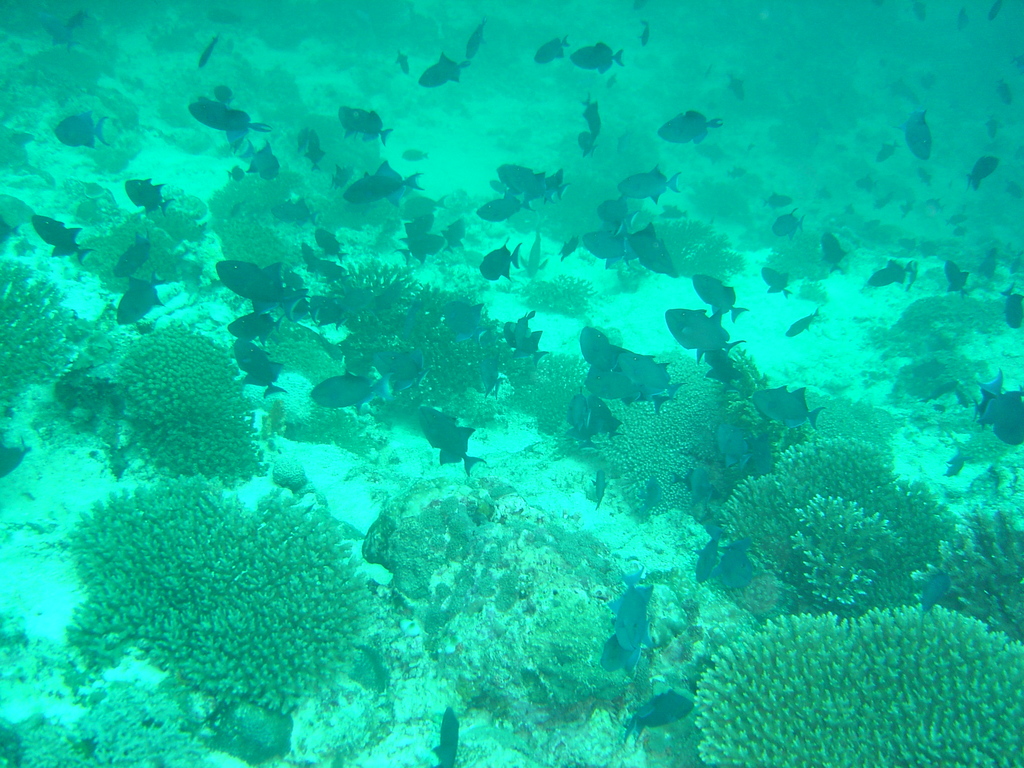 DSC00047.JPG