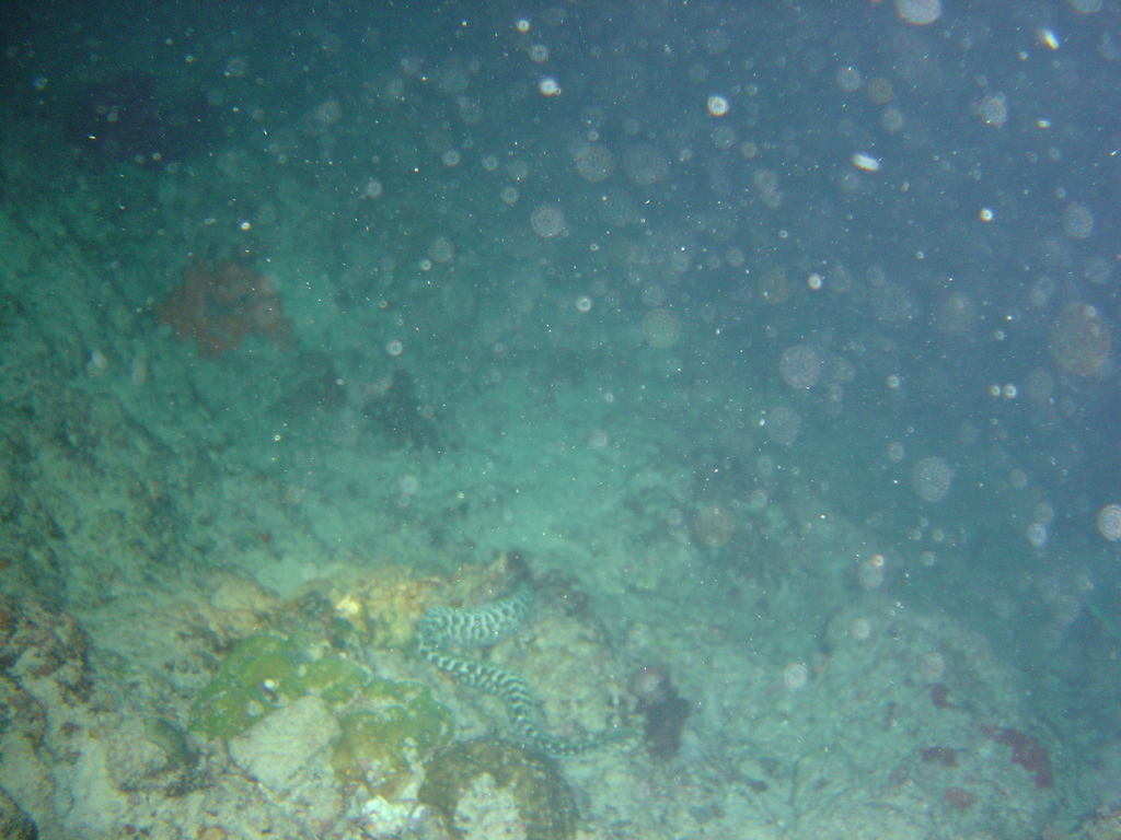 DSC00059.JPG