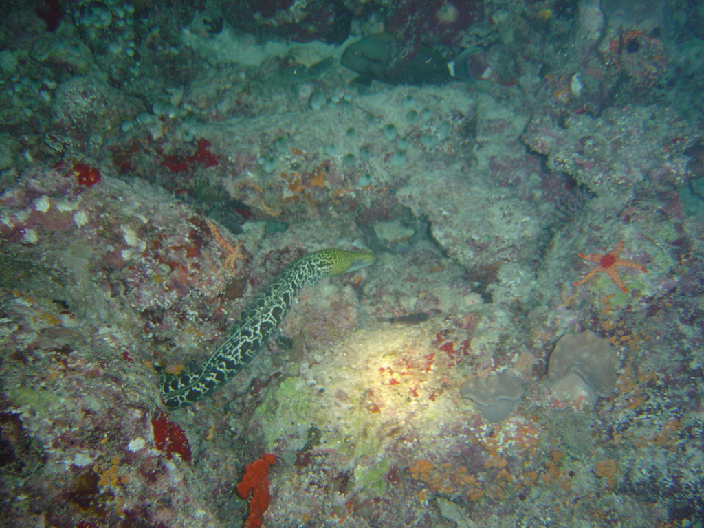 DSC00070.JPG