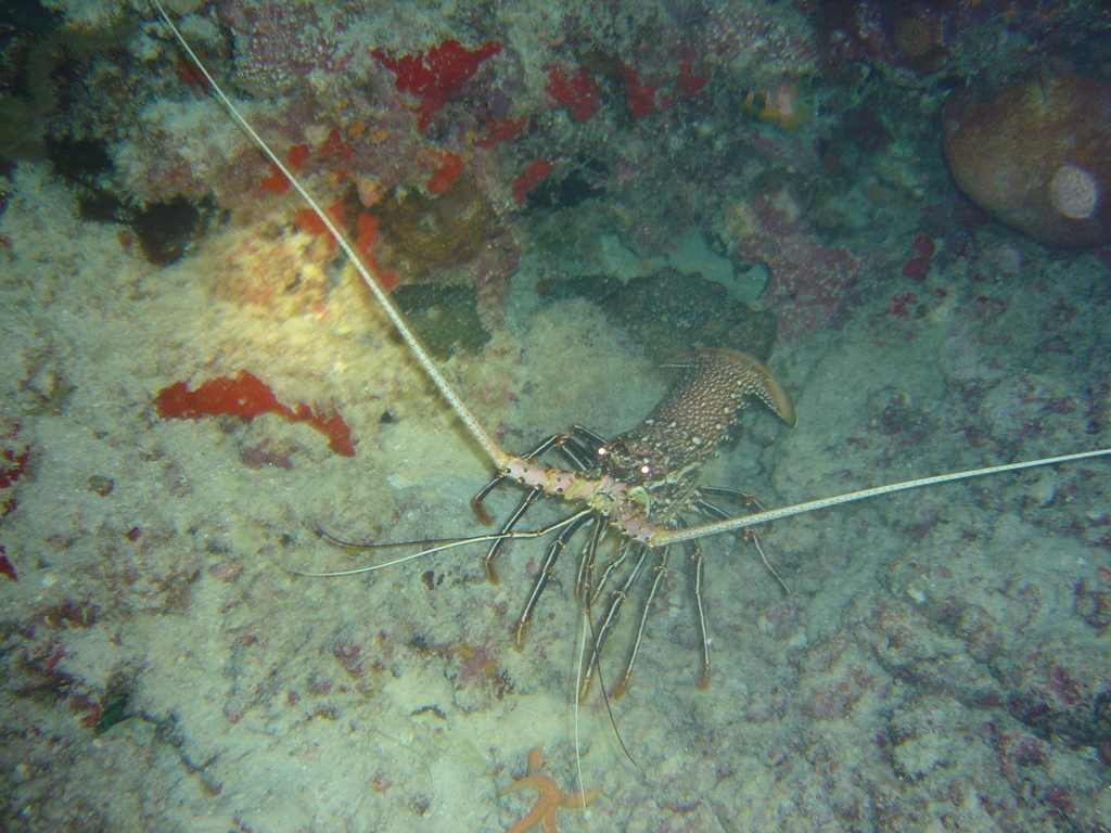 DSC00088.JPG