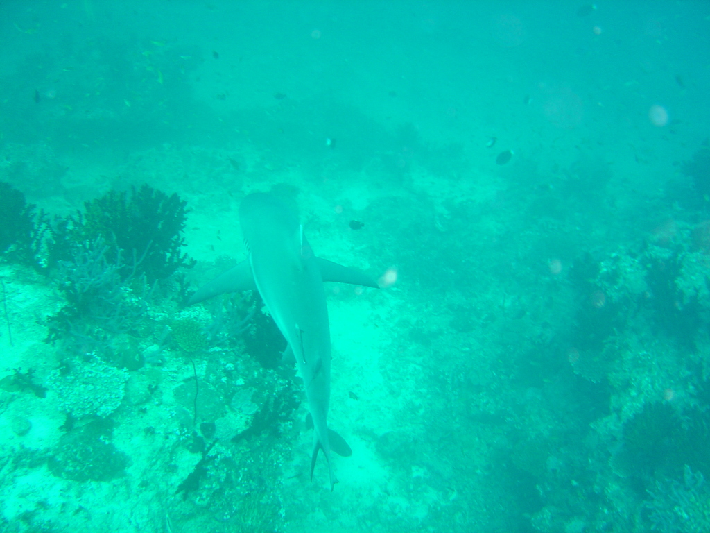 DSC00095.JPG