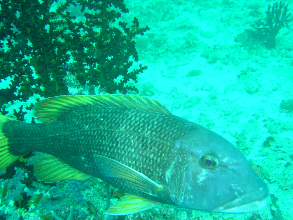 DSC00102.JPG