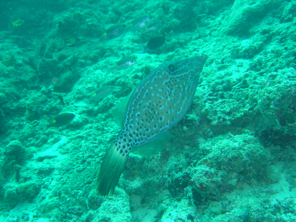 DSC00106.JPG