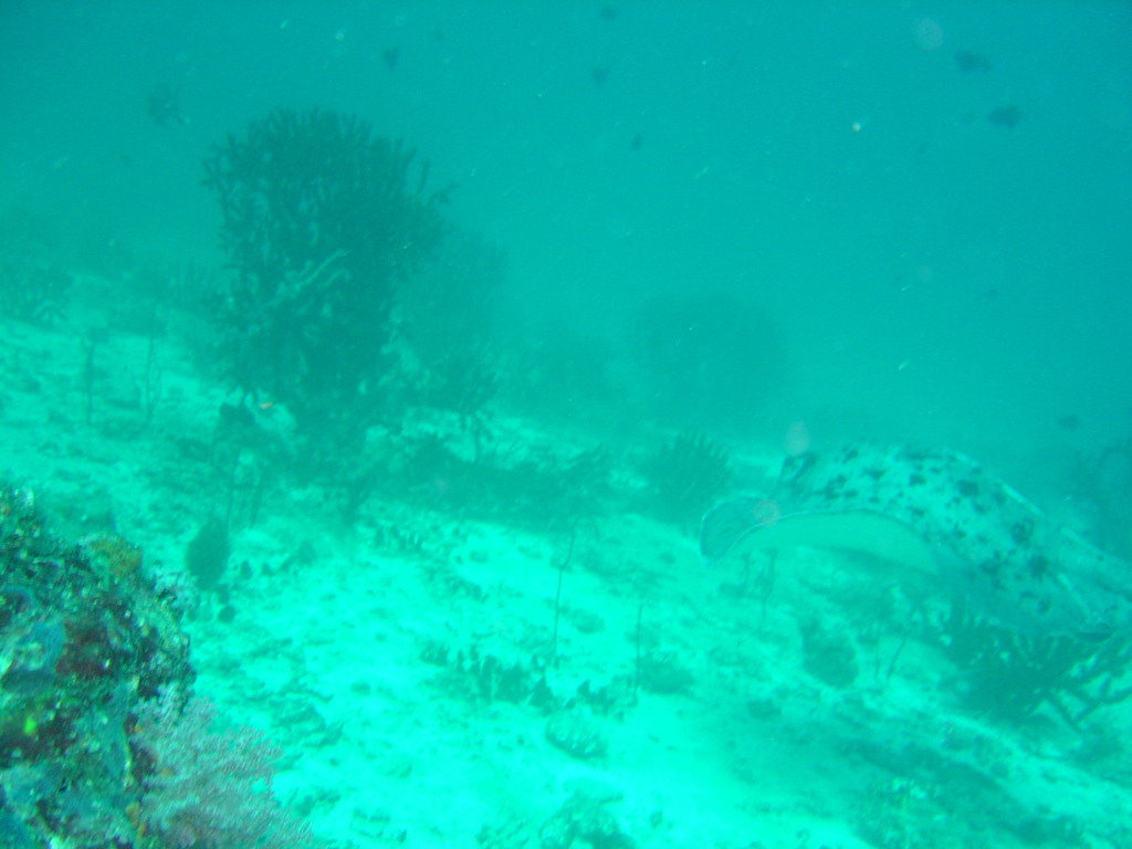 DSC00107.JPG