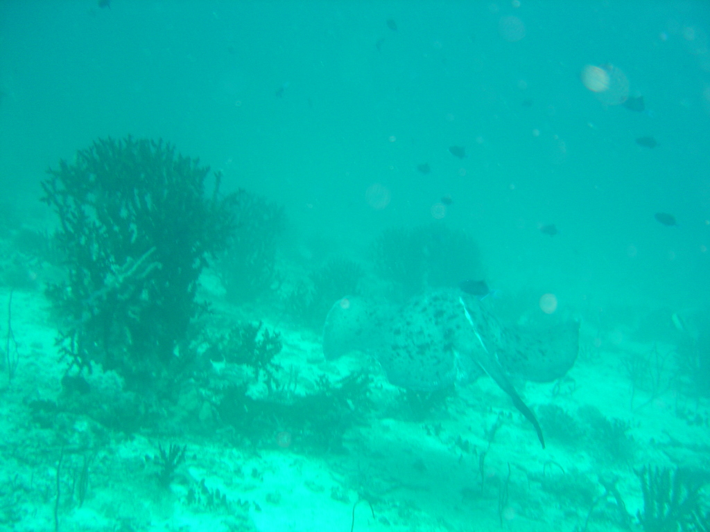 DSC00108.JPG