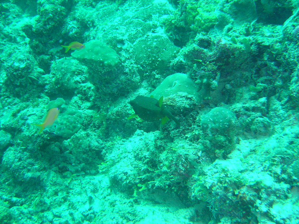 DSC00122.JPG