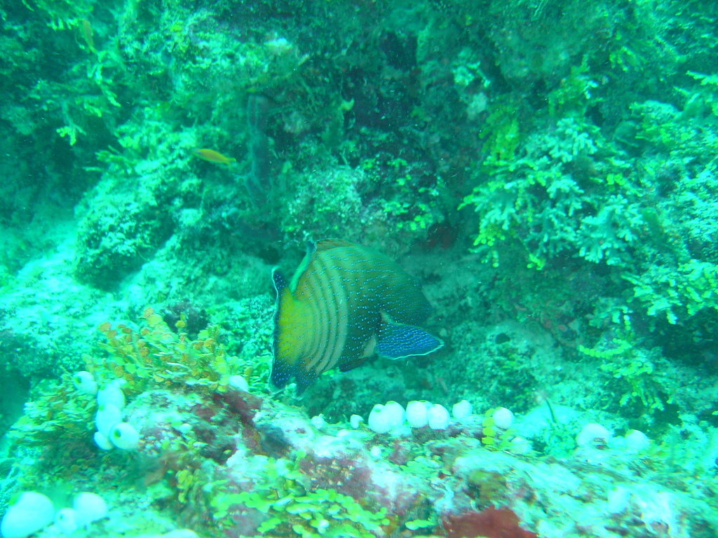 DSC00123.JPG