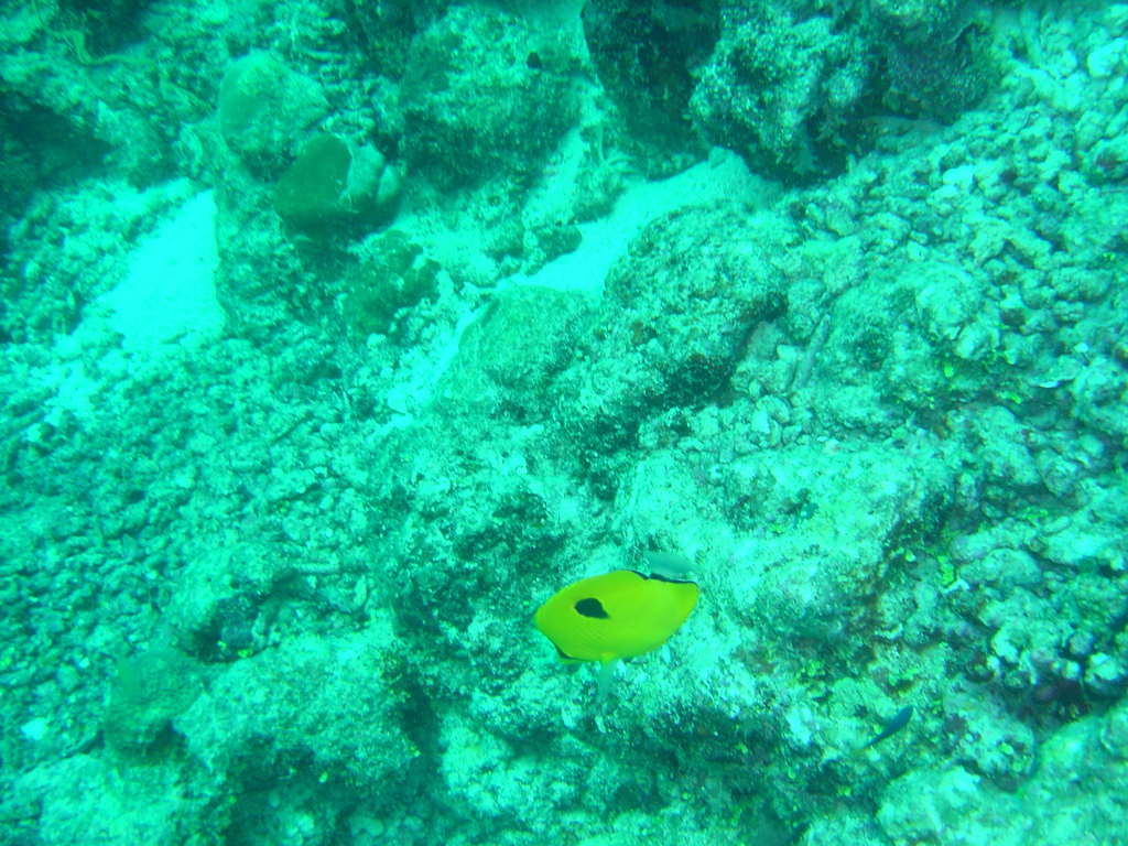 DSC00124.JPG