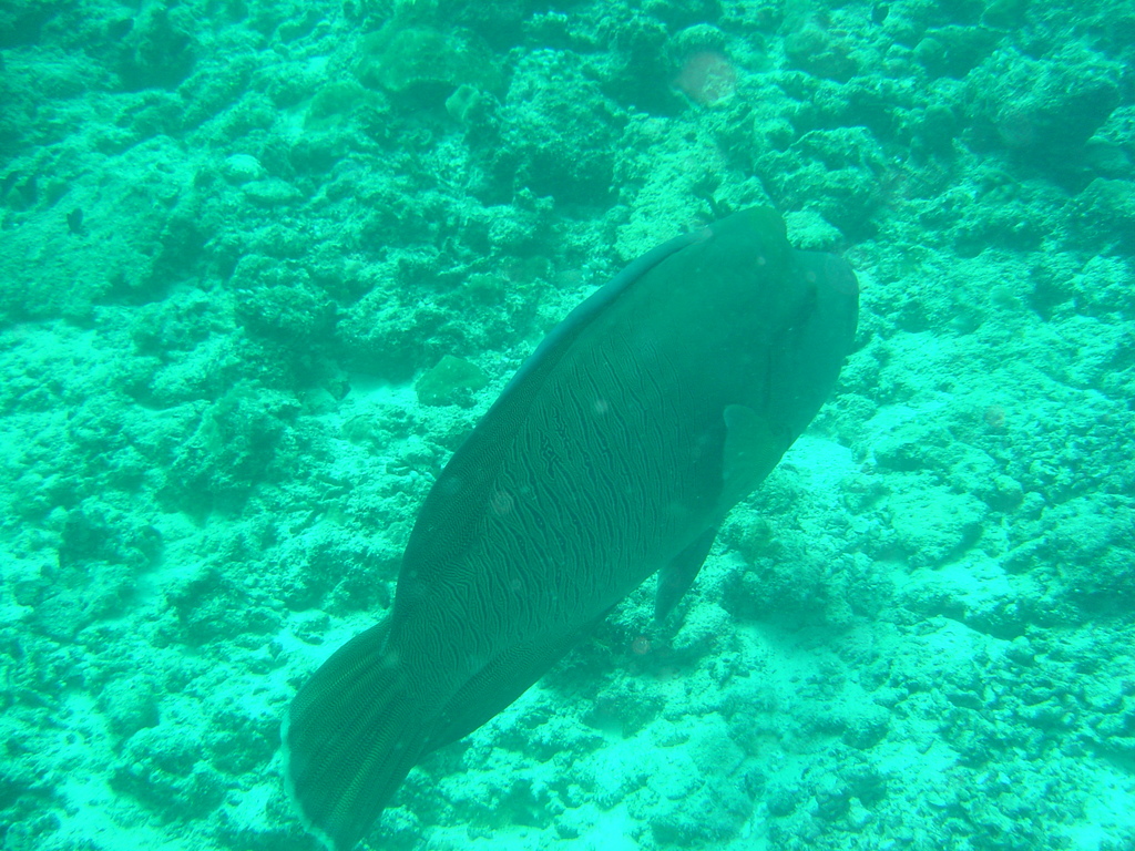 DSC00128.JPG