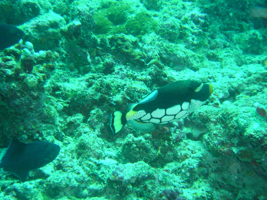 DSC00130.JPG