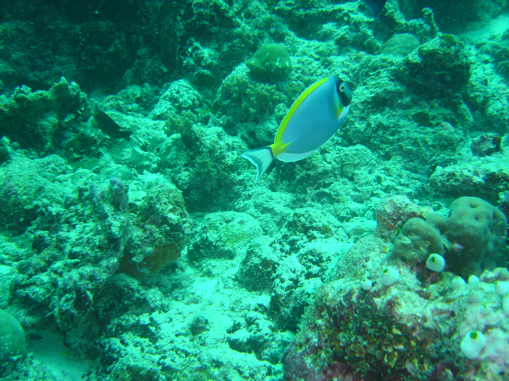 DSC00133.JPG