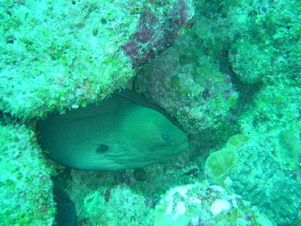 DSC00152.JPG