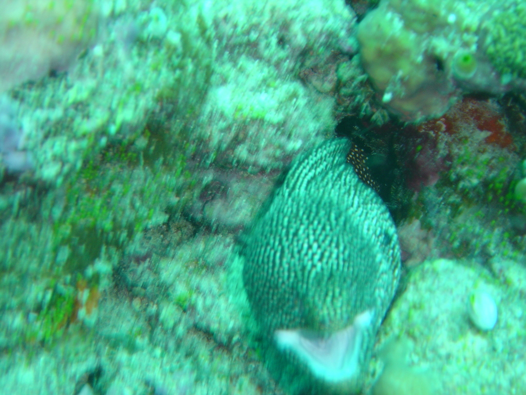 DSC00164.JPG