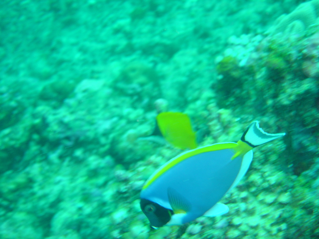 DSC00165.JPG