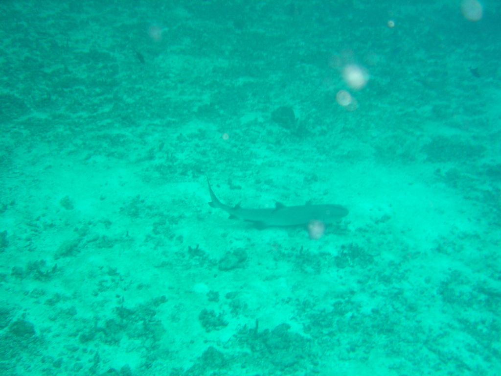 DSC00169.JPG