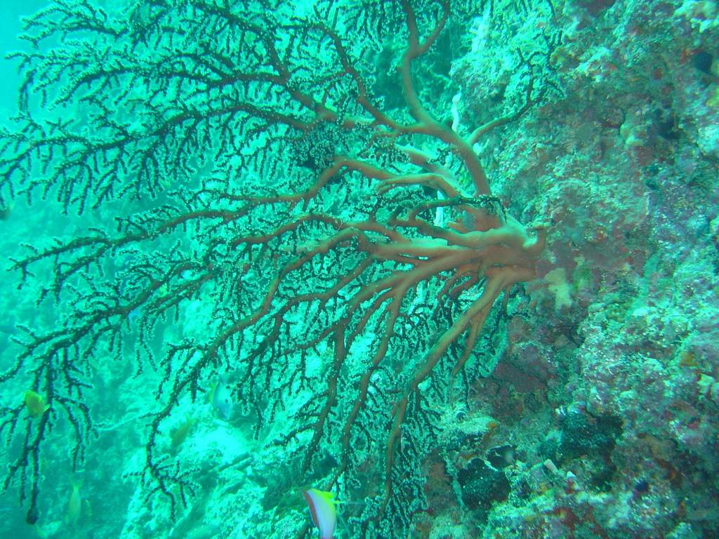DSC00171.JPG