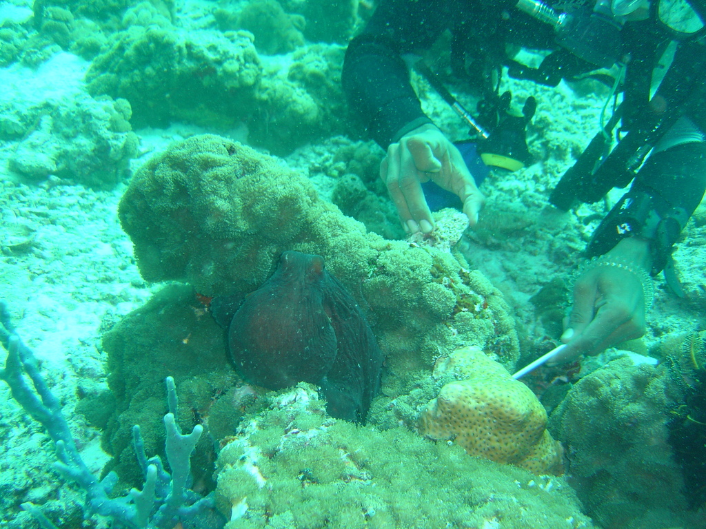 DSC00194.JPG