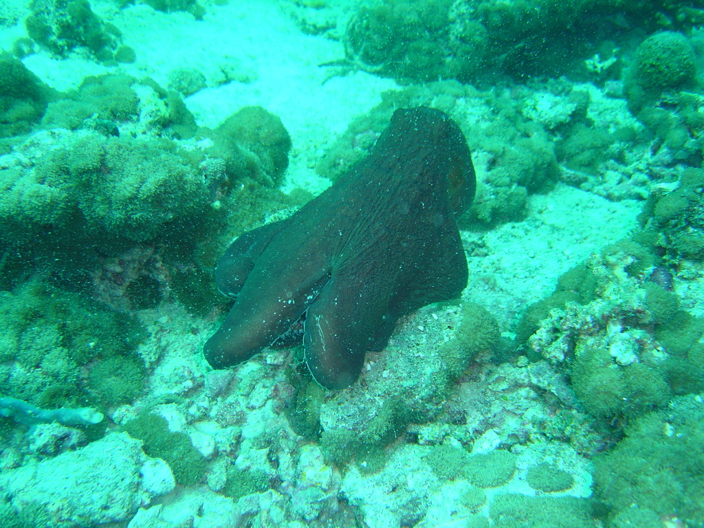 DSC00196.JPG