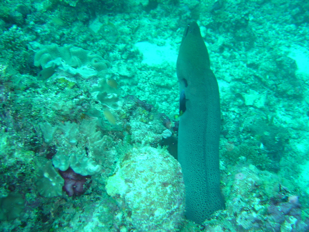 DSC00201.JPG