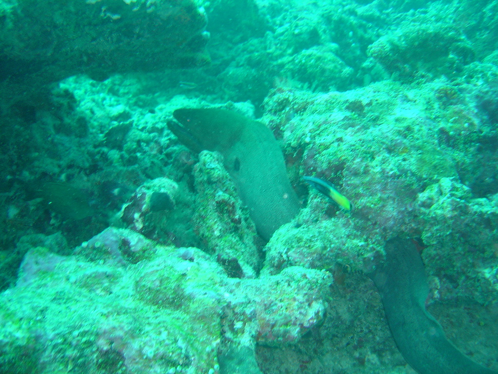DSC00211.JPG