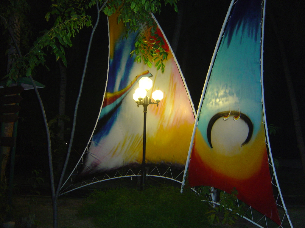 DSC00264.JPG