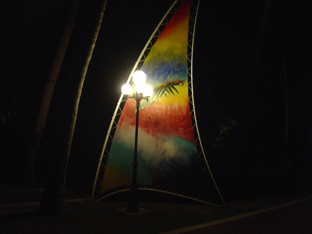DSC00266.JPG