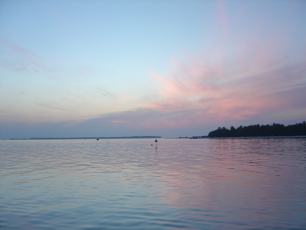 DSC00267.JPG