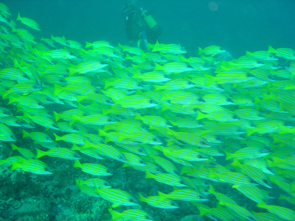 DSC00275.JPG