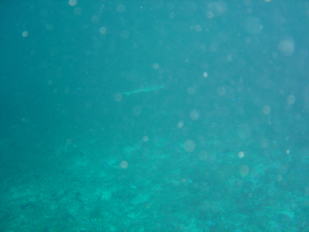 DSC00284.JPG