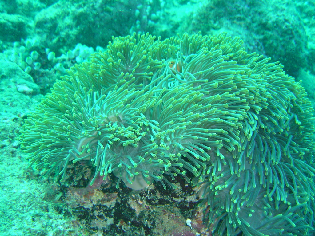 DSC00285.JPG