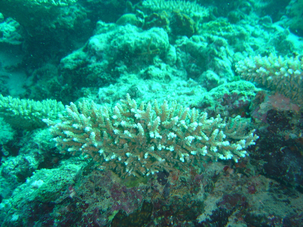 DSC00288.JPG