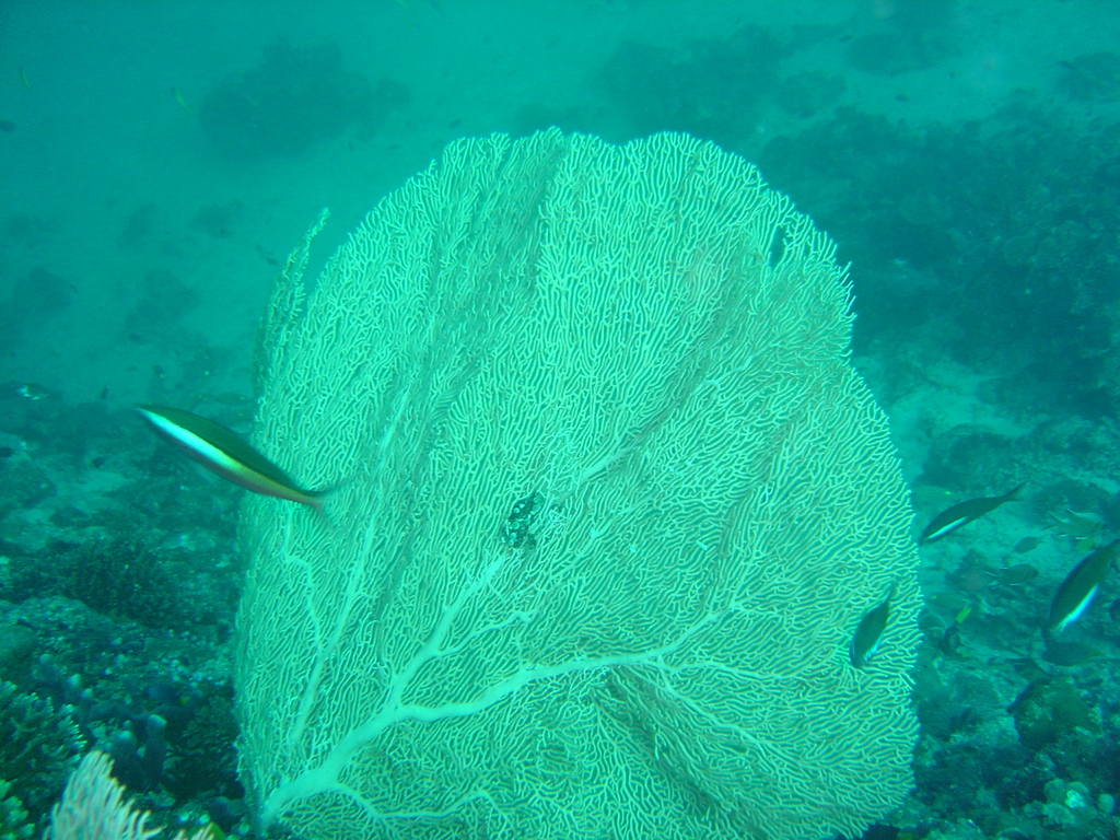 DSC00289.JPG