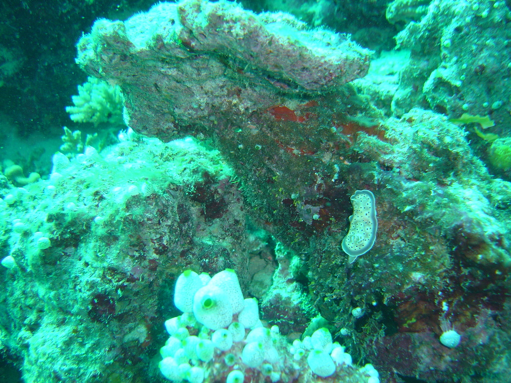 DSC00296.JPG