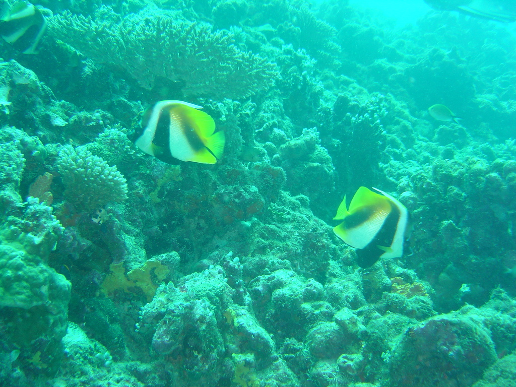 DSC00299.JPG
