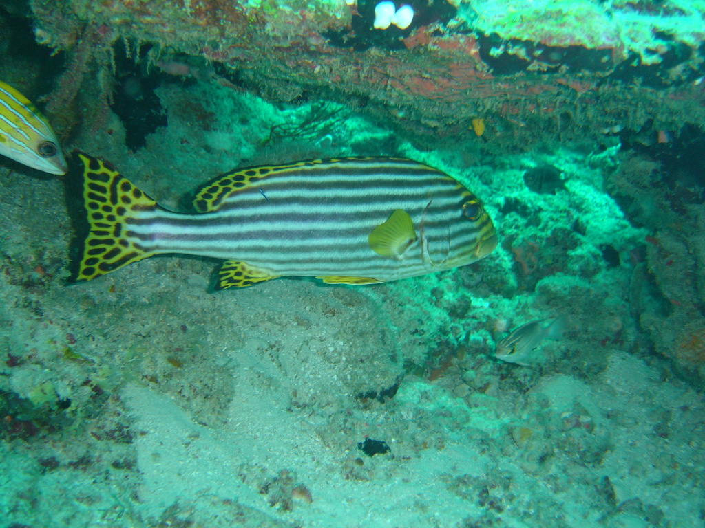 DSC00308.JPG