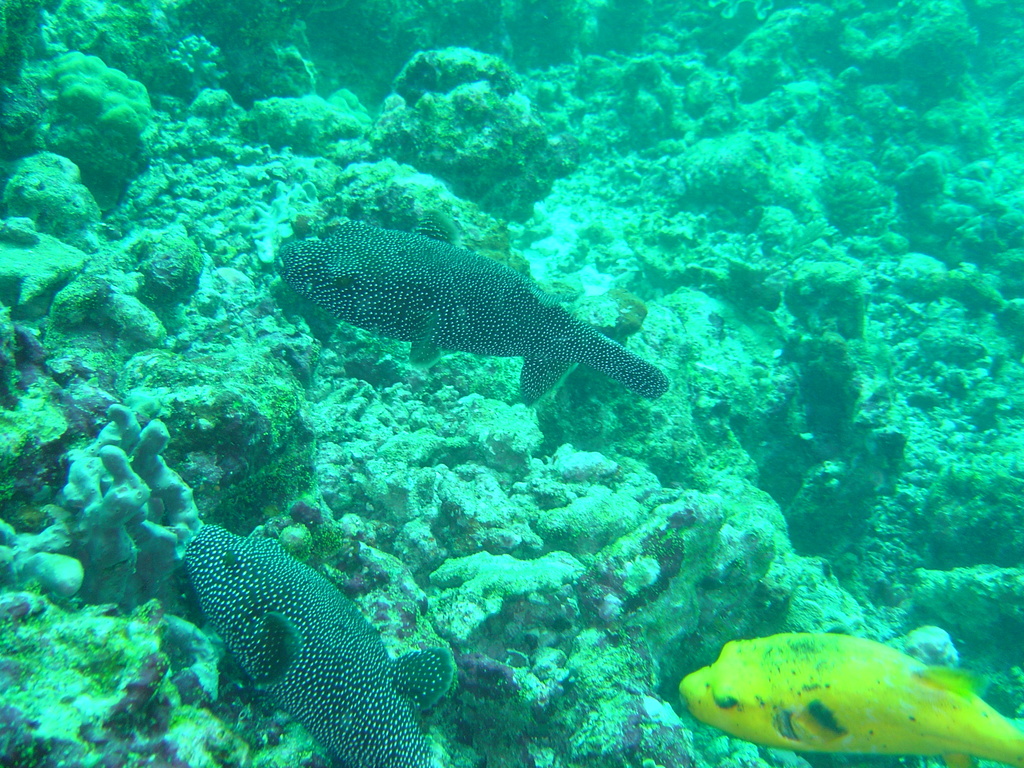 DSC00316.JPG