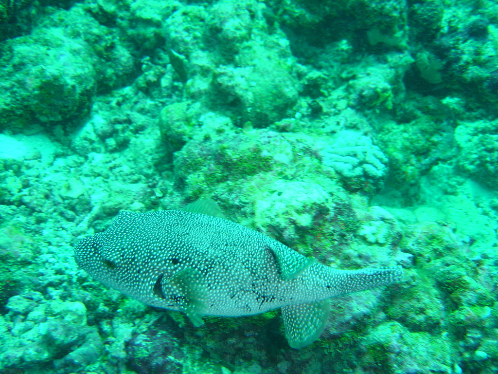 DSC00317.JPG