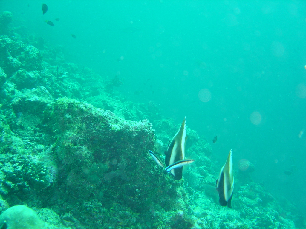 DSC00318.JPG