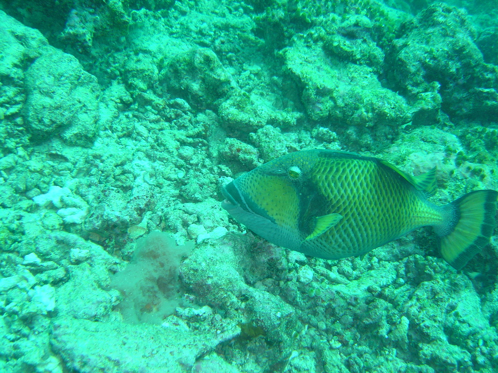 DSC00319.JPG