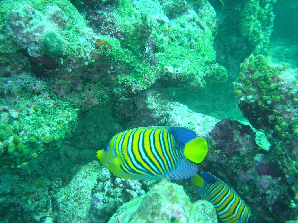 DSC00325.JPG