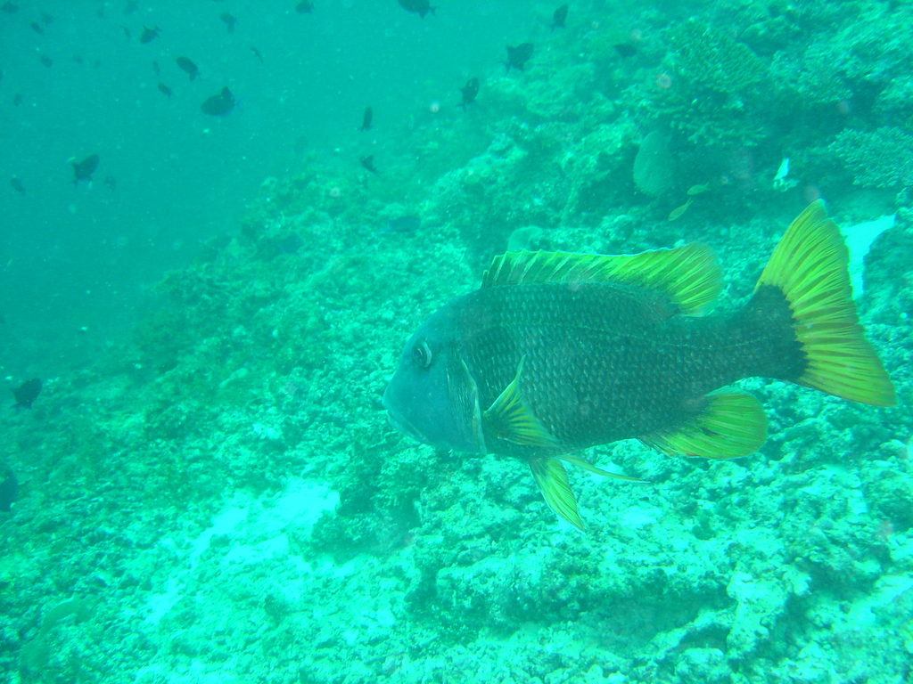 DSC00329.JPG