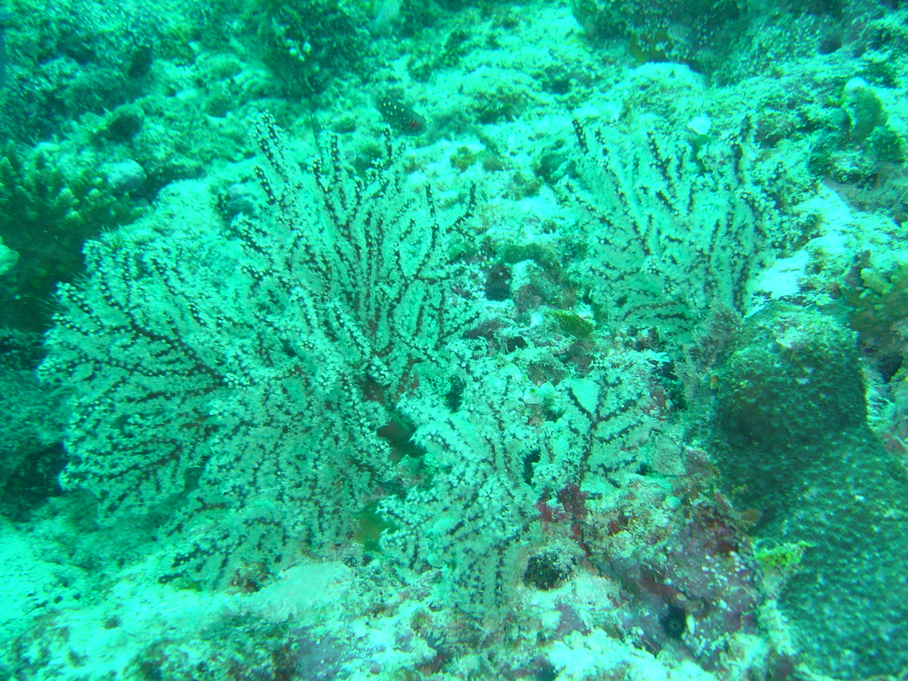 DSC00332.JPG