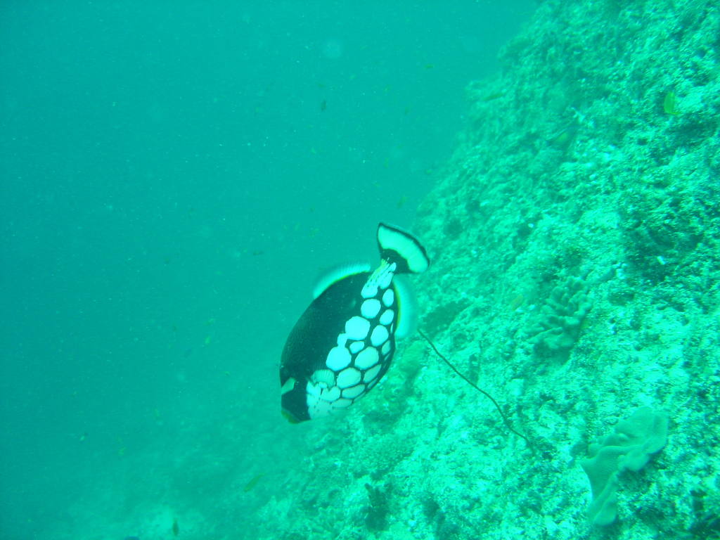 DSC00333.JPG