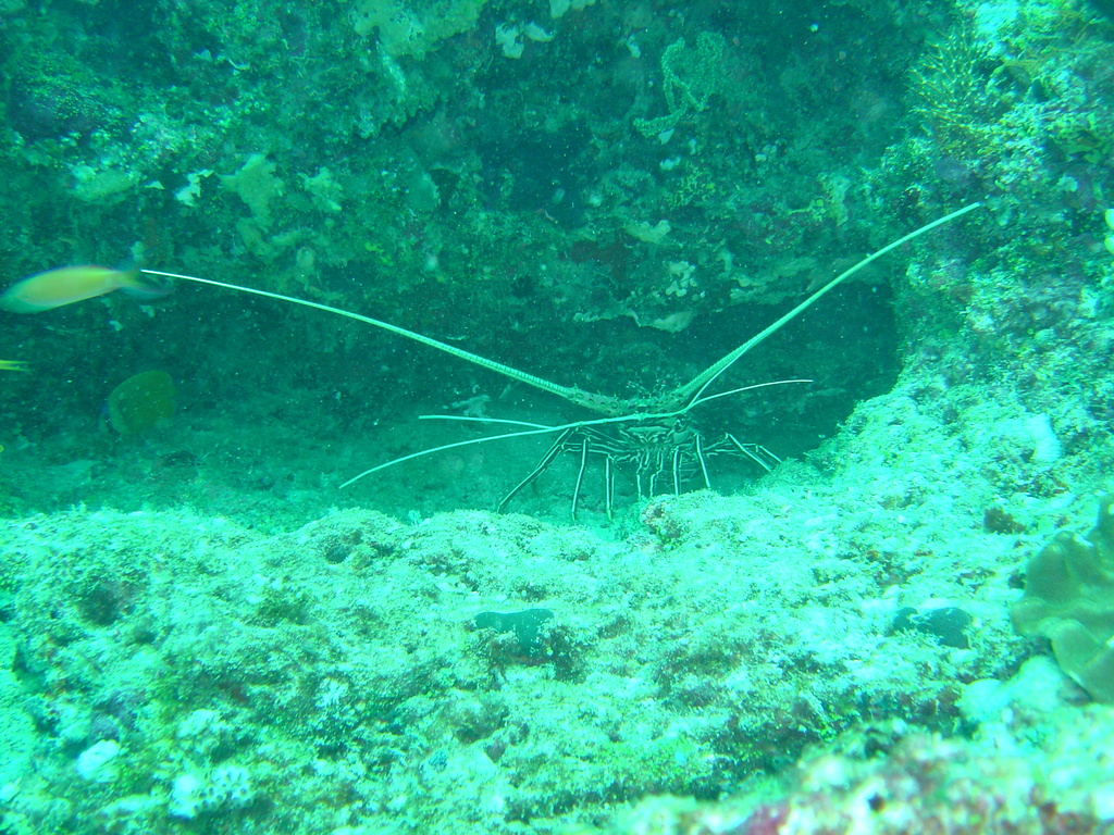 DSC00334.JPG