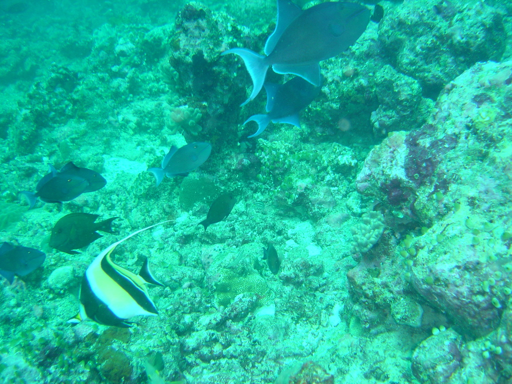 DSC00352.JPG