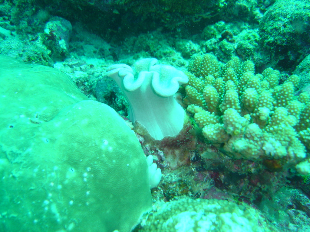 DSC00355.JPG