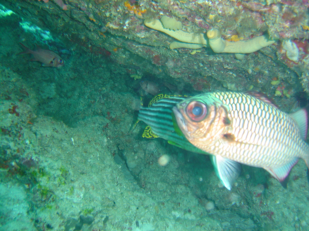 DSC00360.JPG