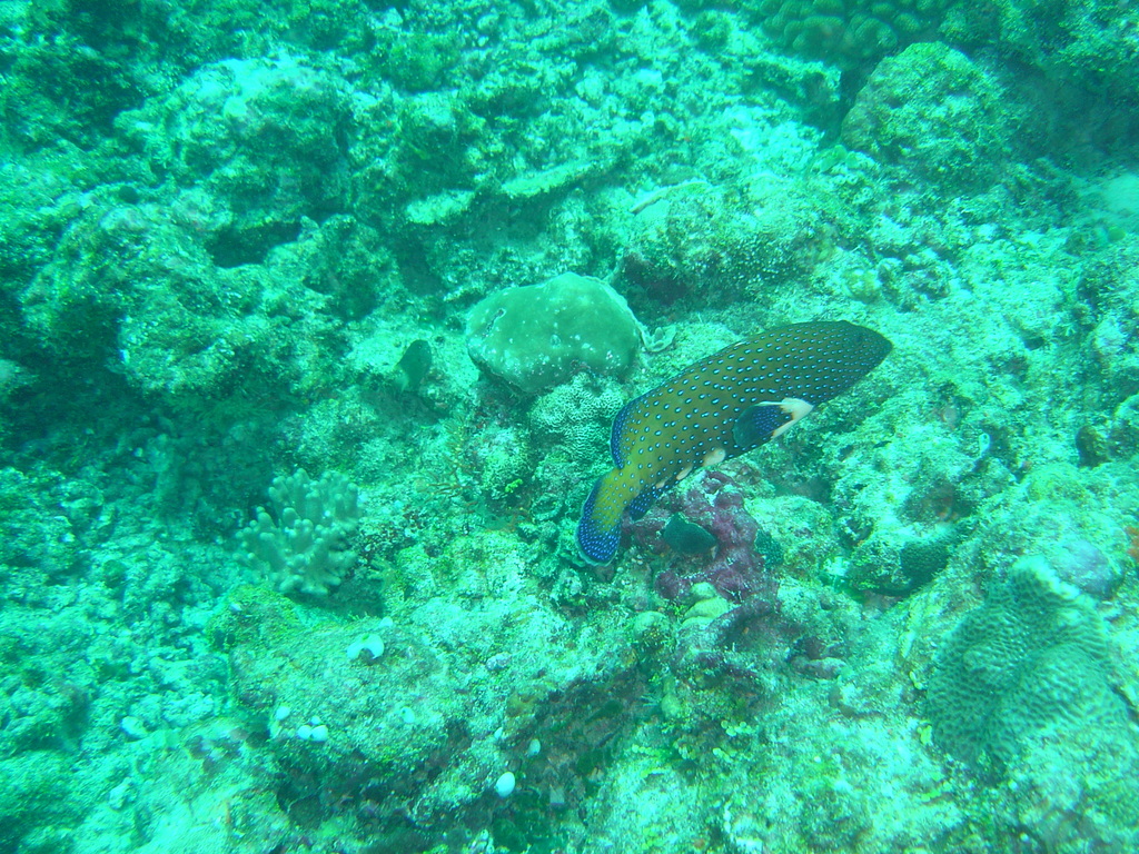 DSC00374.JPG