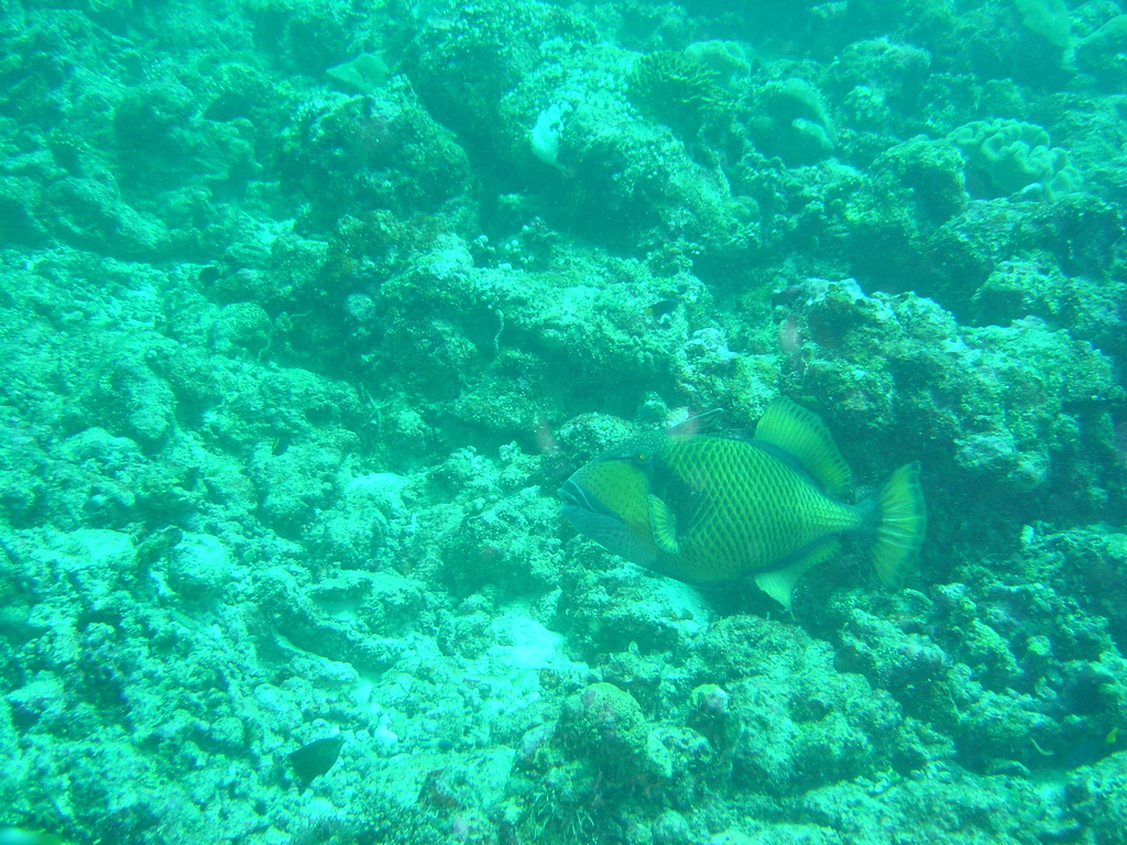 DSC00375.JPG