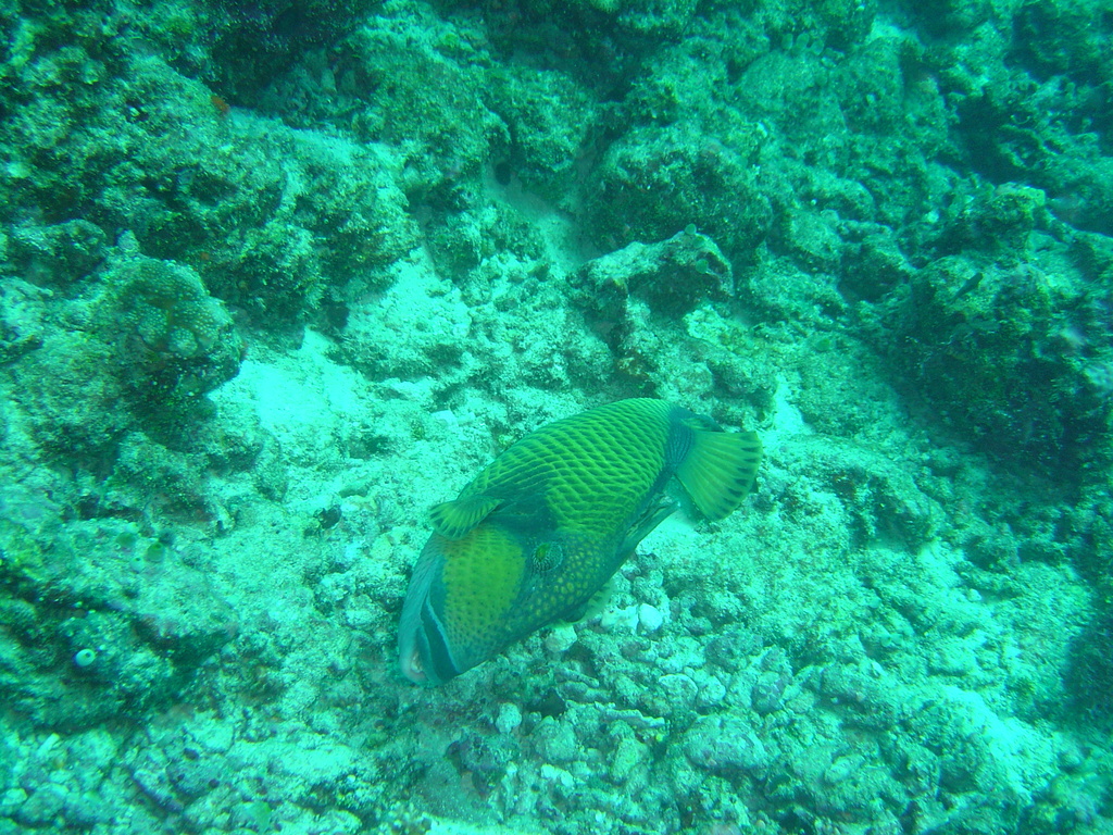 DSC00376.JPG